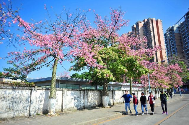 廣東23所大學上榜這份最新排名！深大第三，華師第十？廣外更后